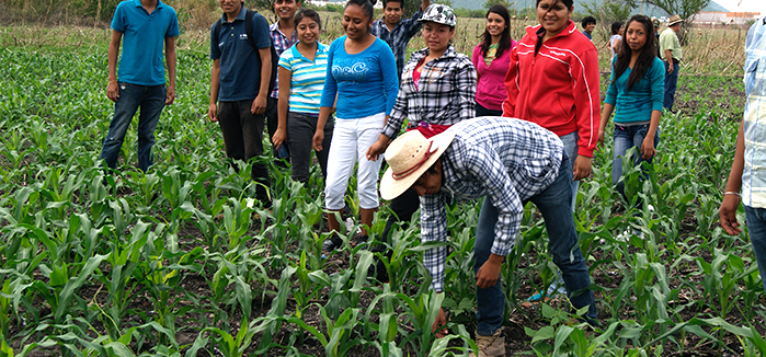 ingenieria en produccion vegetal
