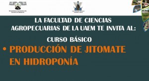 Curso Básico: Producción de jitomate en hidroponía 