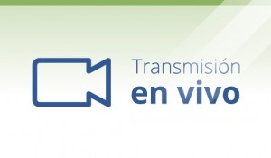 Candidato único al cargo de Director de la Escuela de Turismo. 2019-2022