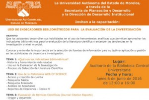 Uso de Indicadores Bibliométricos para la Evaluación de la Investigación