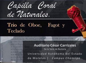 Trío de oboe, fagot y teclado