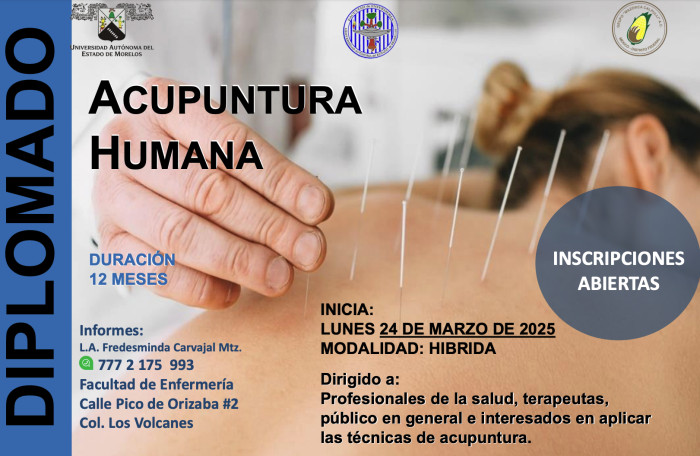 Diplomado en acupuntura