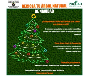 Recicla tu árbol de navidad