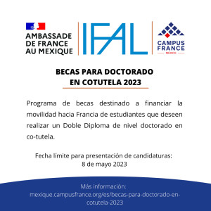 Becas para doctorado en Cotutela 2023