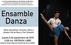 Ensamble de Danza
