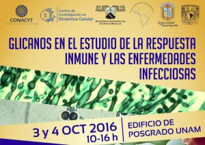 Glicanos en el estudio de la respuesta inmune y las enfermedades infecciosas