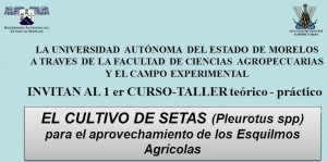 Taller de Cultivo de Setas