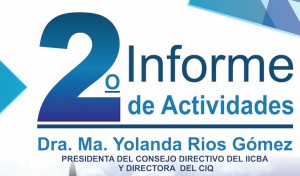 2o Informe de Actividades, IICBA