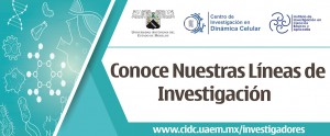Centro de Investigación en Dinámica Celular