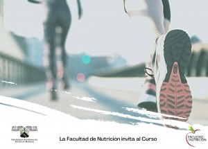 Principios para la planificación del ejercicio para el adulto sano y con enfermedades crónicas