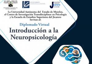 Diplomado Virtual: "Introducción a la Neuropsicología"