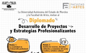 Diplomado: Desarrollo de proyectos y estrategias profesionalizantes