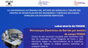 Servicios CIICAp 2022
