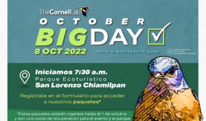 October Big Day 2022