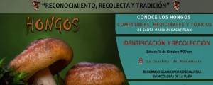 "Reconocimiento, recolecta y tradición" - Hongos