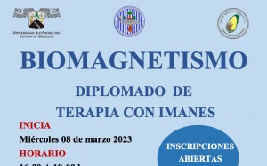 Biomagnetismo - Diplomado de Terapia con Imanes