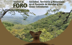 Encuentro internacional virtual de semilleros de investigación