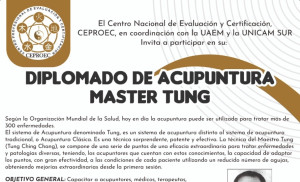 Diplomado de Acupuntura Master Tung