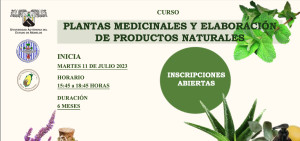 Curso de plantas medicinales y elaboración de productos naturales