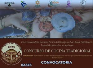 1ª Fiesta del Hongo - Concurso de Cocina Tradicional
