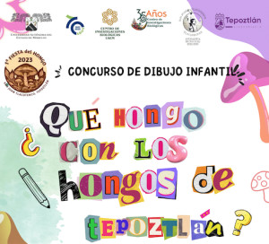 1ª Fiesta del Hongo - Concurso de Dibujo Infantil