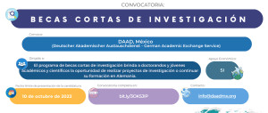 Becas cortas de Investigación
