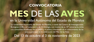 Convocatoria: Mes De Las Aves