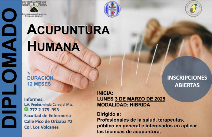 Diplomado | Acupuntura Humana