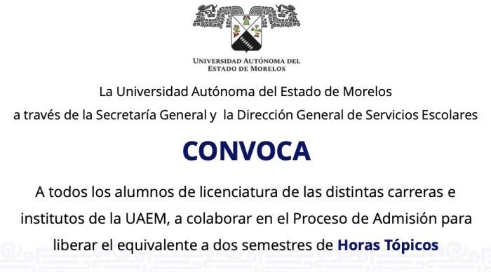 Resultados de Horas Tópicos para el Proceso de Admisión 2025