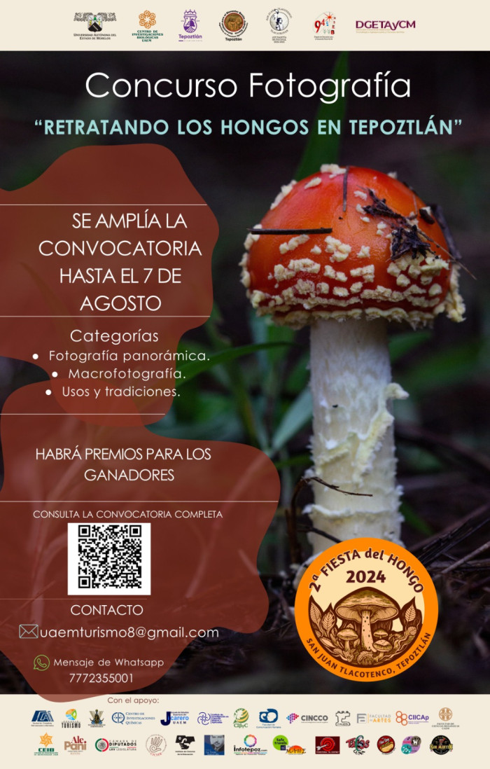 Concurso Fotografía | Retratando los Hongos de Tepoztlán