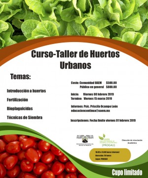 Curso taller Huertos urbanos