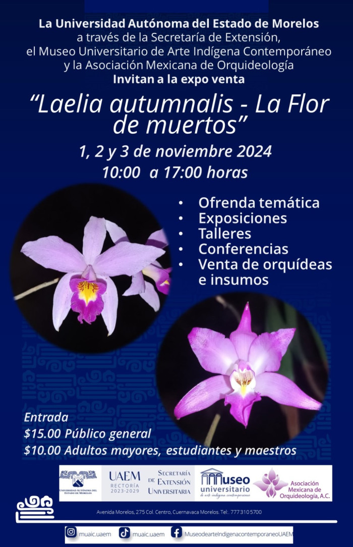 Exposición: Laelia Autumnalis - La Flor de Muertos