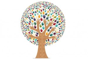 Maestría en Atención a la Diversidad y Educación Inclusiva 2016