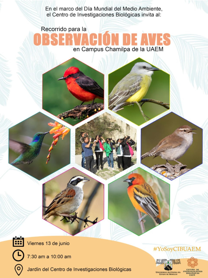 Caminata para observación de aves en el Campus Chamilpa