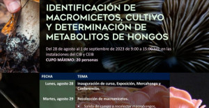 Identificación de Macromicetos, Cultivo y Determinación de Metabolitos de Hongos