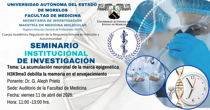 Seminario Institucional de Investigación