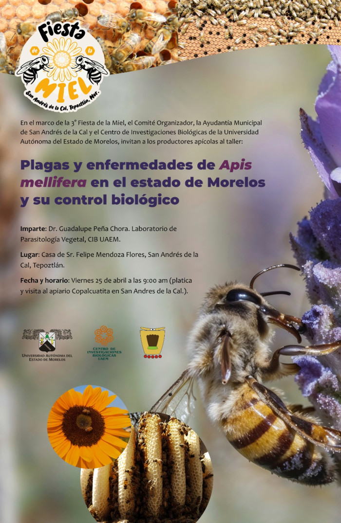 Taller: Plagas y enfermedades de Apis Mellifera en el estado de Morelos y su control biológico.