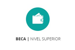 Beca de Servicio Social para la Educación Superior
