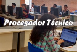 Curso Procesador técnico